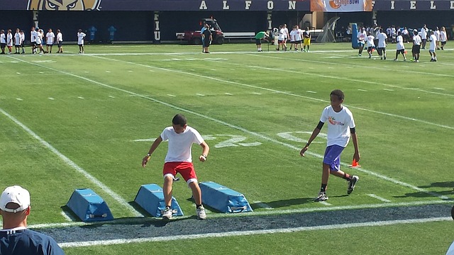 萊萬特的逆 萊萬特的逆