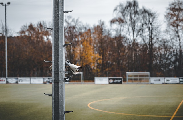 在欧冠赛场 在欧冠赛场