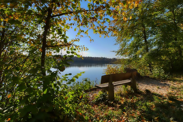 向往的目的 向往的目的