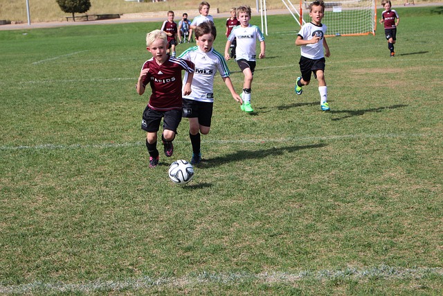 如果我们回 如果我们回