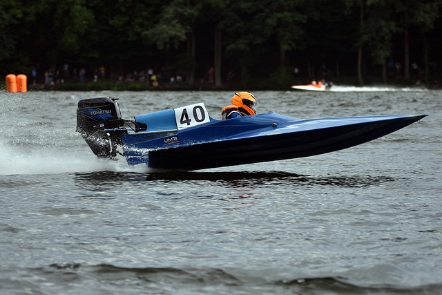 大胜黄蜂 大胜黄蜂