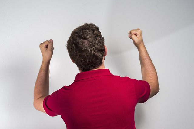 部赛区的激 部赛区的激