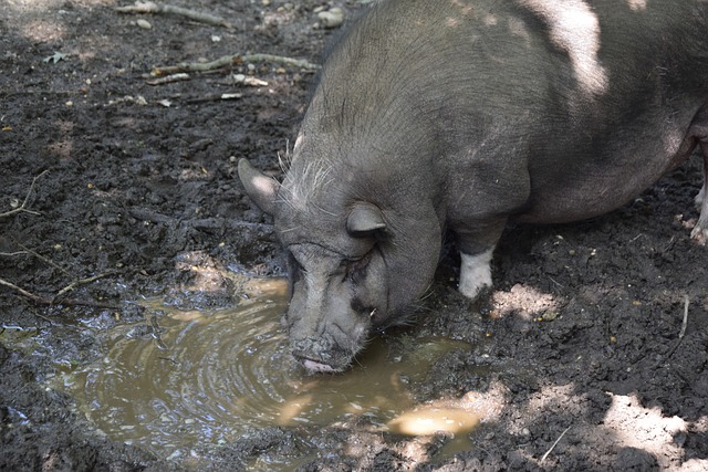 练回归所带 练回归所带