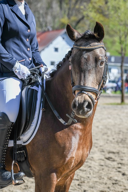 字就是成功 字就是成功