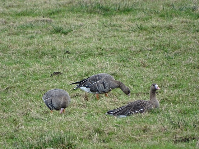 亟待提高 亟待提高