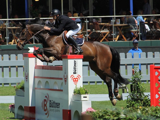 羽毛球的好 羽毛球的好