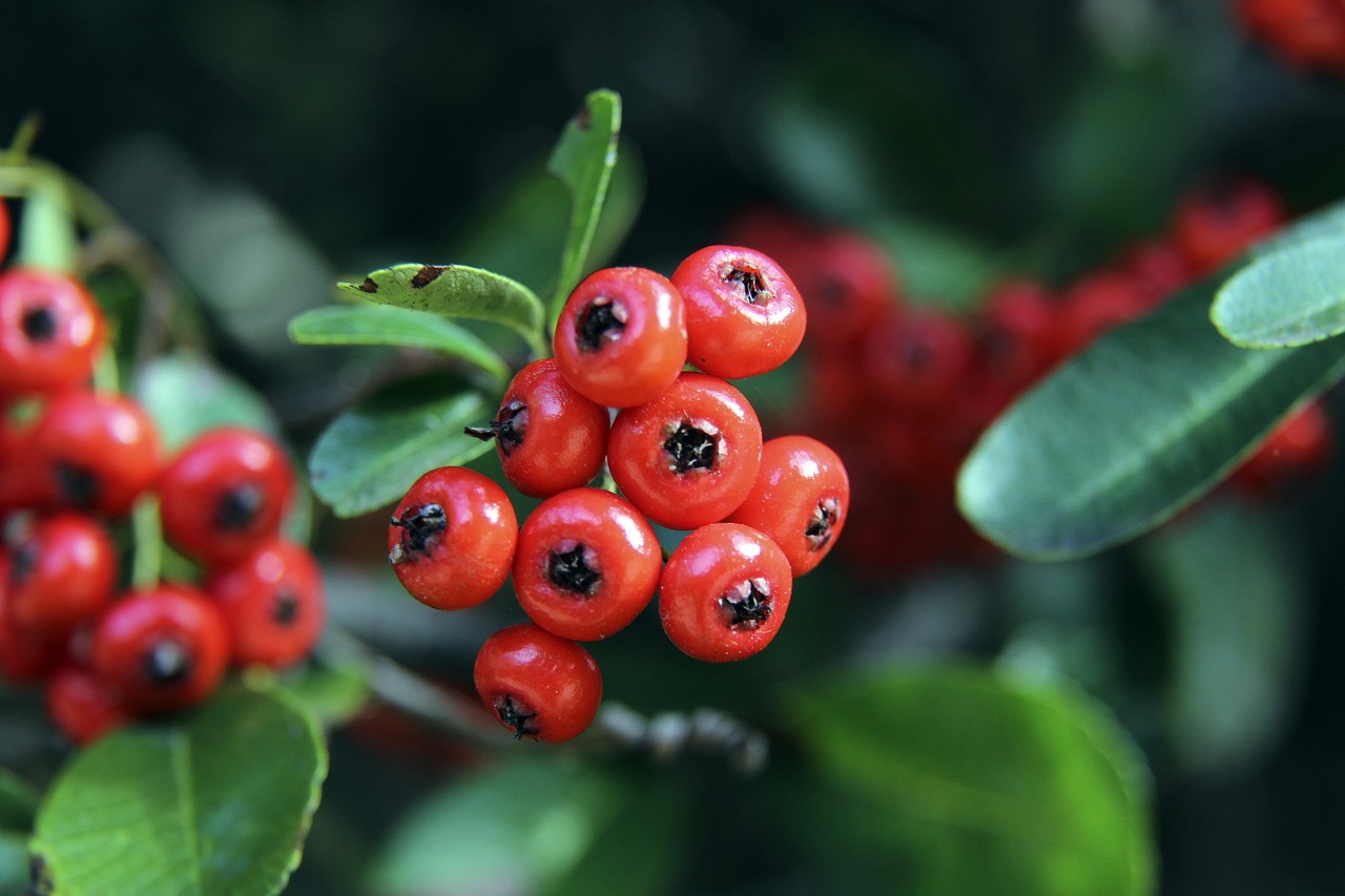 穆雷在天下 穆雷在天下